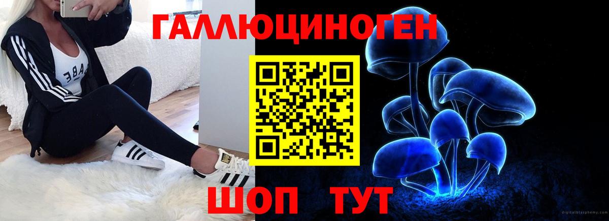 Псилоцибиновые грибы ЛСД  Псилоцибиновые грибы GOLDEN TEACHER  продажа наркотиков  Лабинск  Вход с VPN 